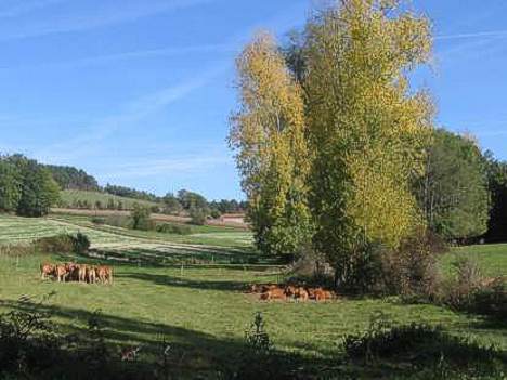 la coquille dordogne